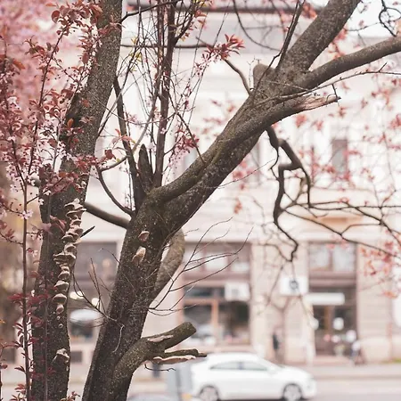 Διαμέρισμα The Pearl Of Έστεργκομ